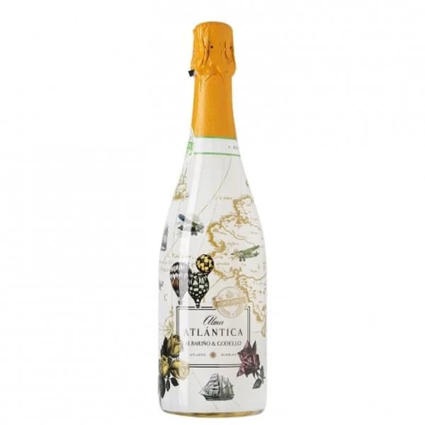 Albariño ALMA ATLANTICA, botella 75 cl - 1 ud - Imagen del producto en Findit