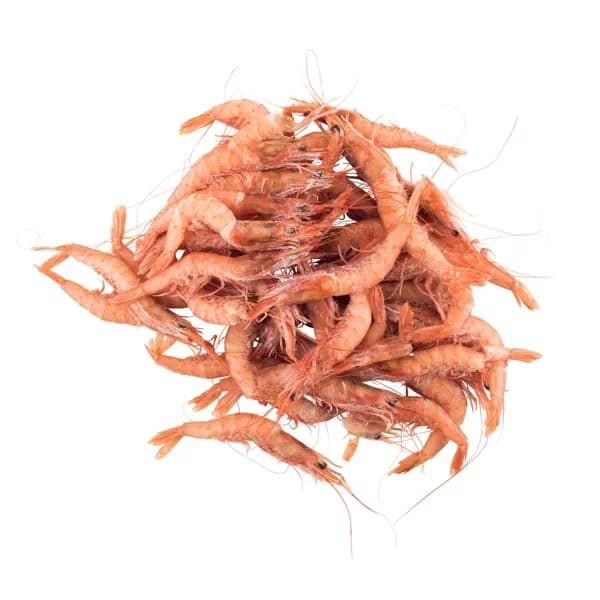 Gamba blanca pequeña Hacendado congelada - 99 kg - Imagen del producto en Findit