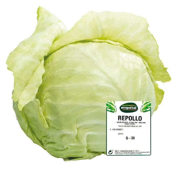 Repollo Liso Entero - 2.94 kg - Imagen del producto en Findit