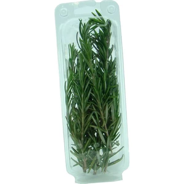 Romero Fresco - 1 ud - Imagen del producto en Findit