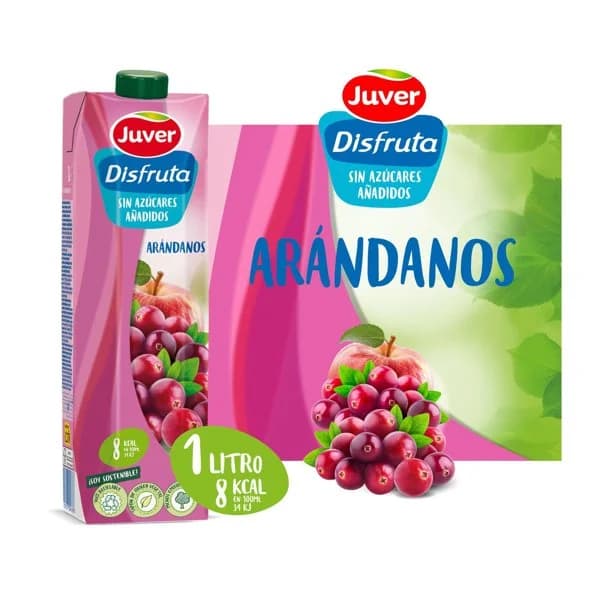 Néctar Disfruta Arándanos 1L - 1 l - Imagen del producto en Findit