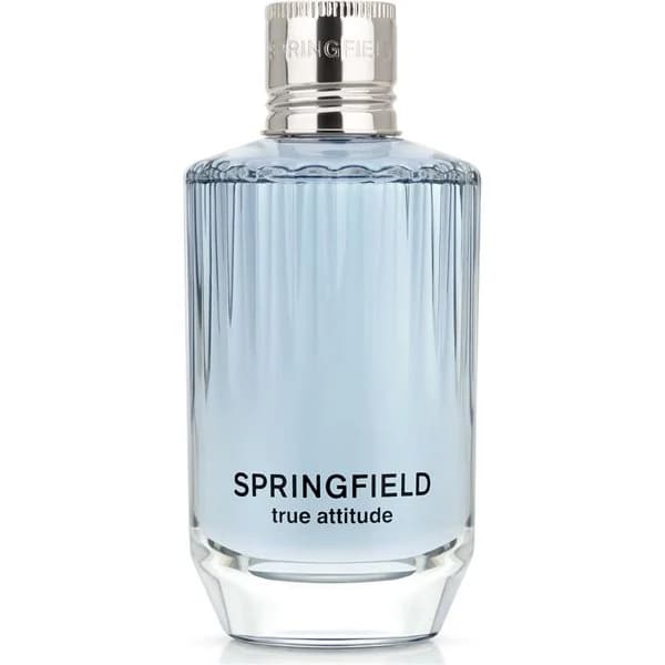 Colonia Hombre Attitude - 0.1 l - Imagen del producto en Findit