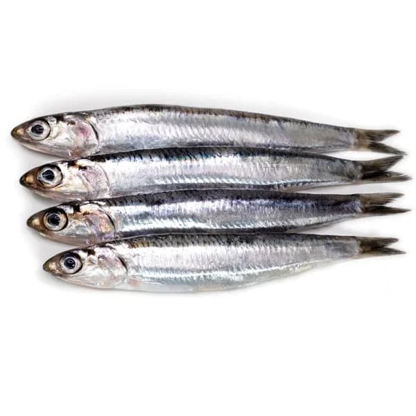 Boquerón - 1 kg - Imagen del producto en Findit