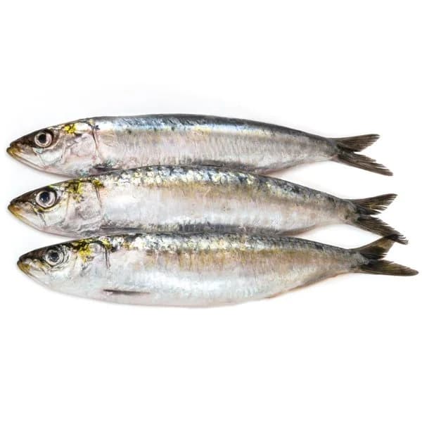 Sardina - 1 kg - Imagen del producto en Findit