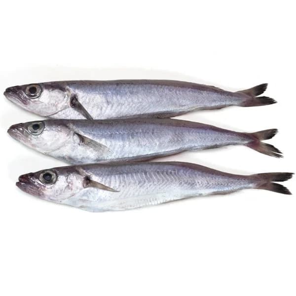 Bacaladilla - 0.08 kg - Imagen del producto en Findit