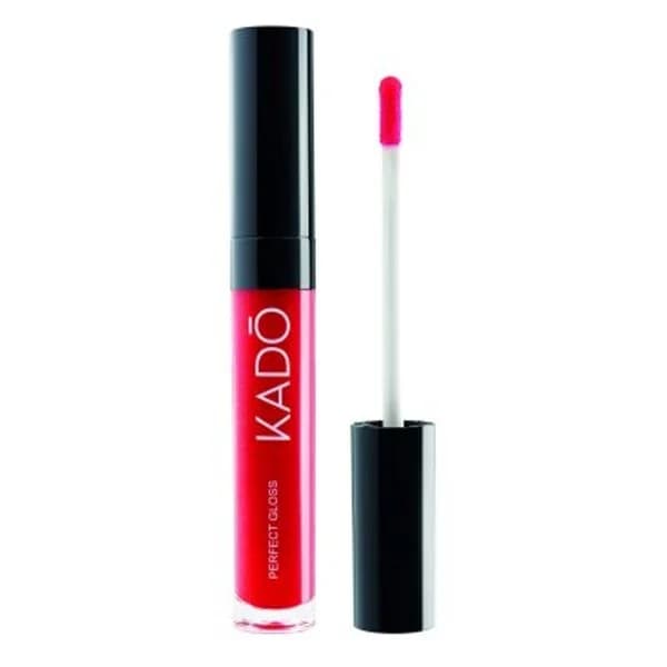 Labial perfect gloss rojo - 1 ud - Imagen del producto en Findit