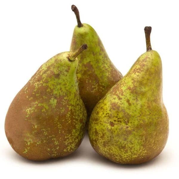 Pera Conferencia Selección, al peso, compra mínima 1 kg - 1 ud - Imagen del producto en Findit