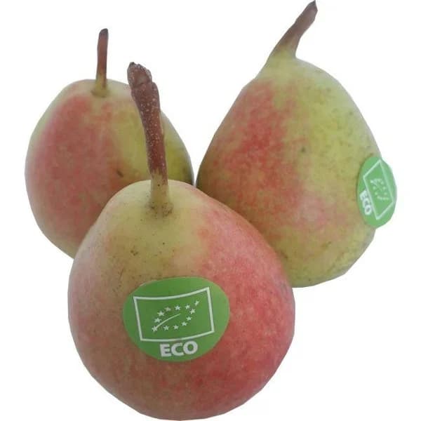 Pera ecológica, al peso, compra mínima 1 kg - 1 ud - Imagen del producto en Findit