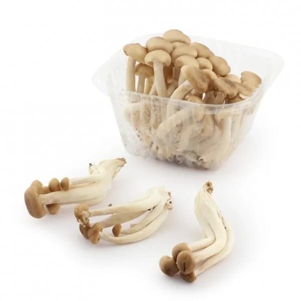 Shimeji Marrón 150 g - 0.15 kg - Imagen del producto en Findit