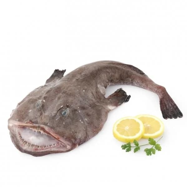 Rape blanco 2,5 kg aprox - 2.5 kg - Imagen del producto en Findit