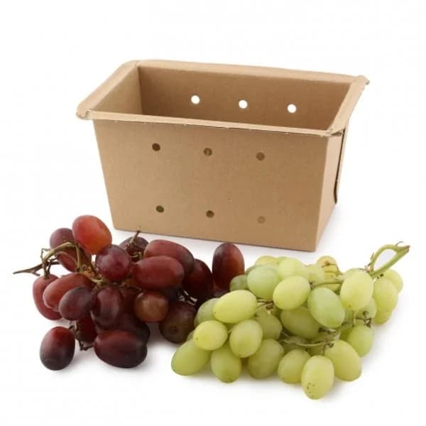 Uva bicolor Carrefour bandeja de 500 g - 0.5 kg - Imagen del producto en Findit