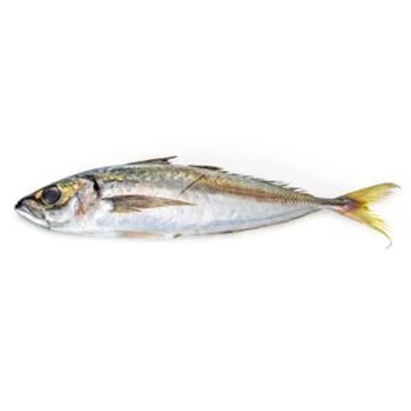 Jurel Lonjas del Mediterráneo - 0.2 kg - Imagen del producto en Findit