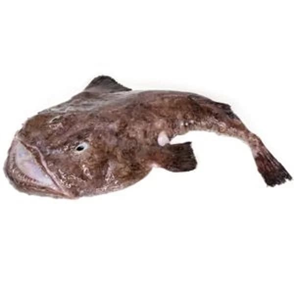 Rape Entero - 1.12 ud - Imagen del producto en Findit