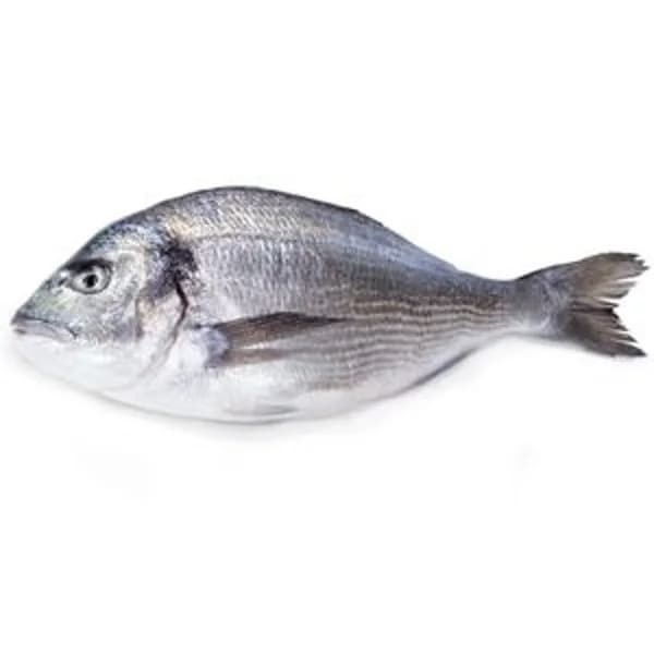 Dorada Crianza de España - 0.5 kg - Imagen del producto en Findit