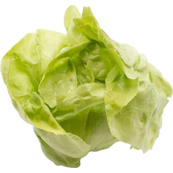 Lechuga Trocadero - 1 ud - Imagen del producto en Findit