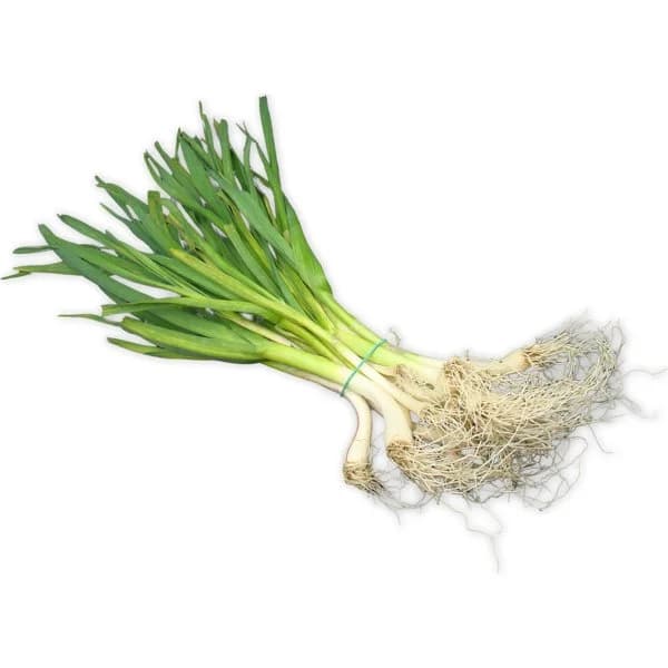 Ajos Tiernos  Manojo - 0.2 kg - Imagen del producto en Findit