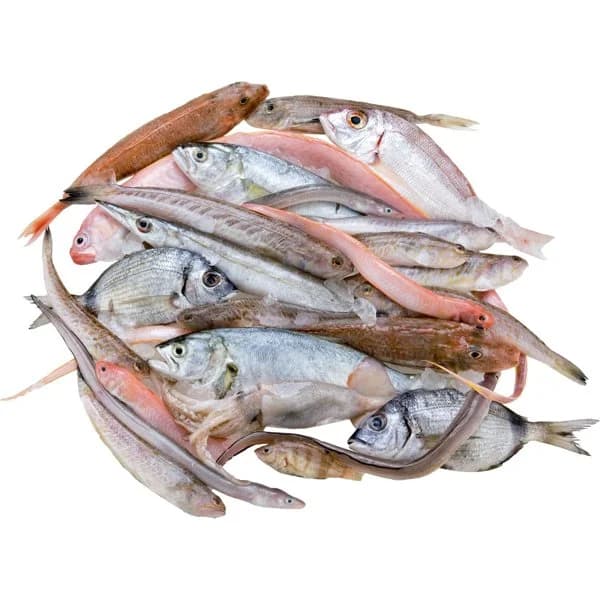 Morralla Lonja - 0 kg - Imagen del producto en Findit