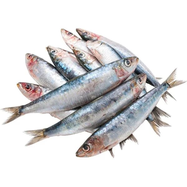 Sardina Lonja - Lunes No Hay - 0 kg - Imagen del producto en Findit