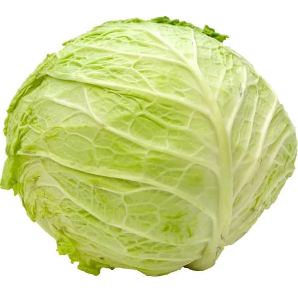 Repollo Liso - 1.5 kg - Imagen del producto en Findit