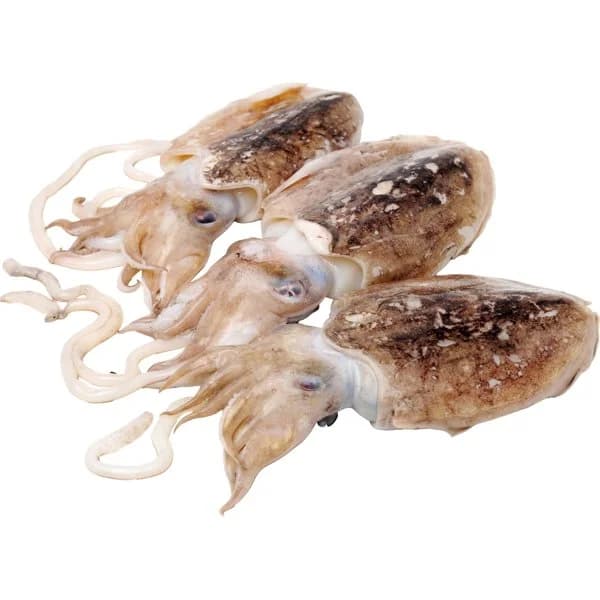Sepia Sucia Lonja - 0.5 kg - Imagen del producto en Findit