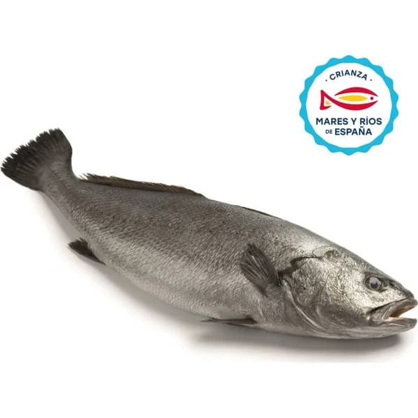 Corvina Mediterraneo - 1.5 kg - Imagen del producto en Findit