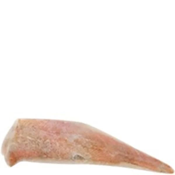 Filete de cabracho congelado a granel - 0.8 kg - Imagen del producto en Findit