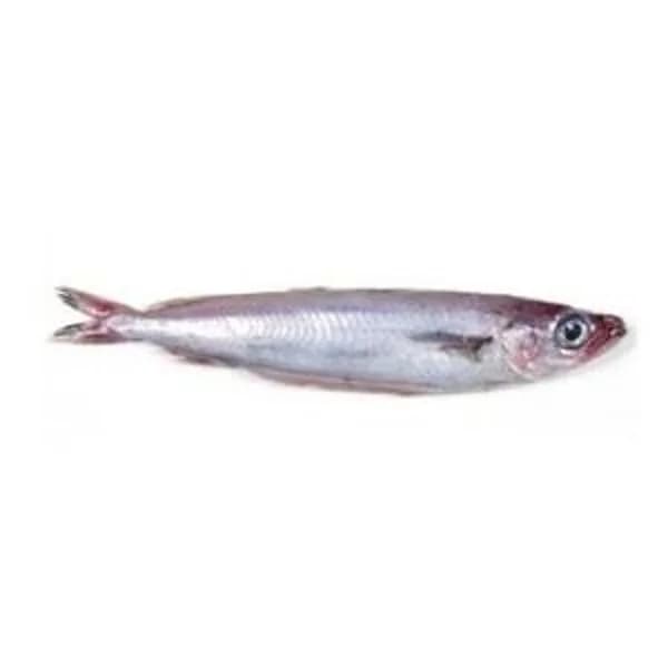 Bacaladilla lirio (250 g aprox) - 1 kg - Imagen del producto en Findit