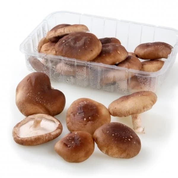 Seta shii-take Carrefour 300 g aprox - 0.3 kg - Imagen del producto en Findit