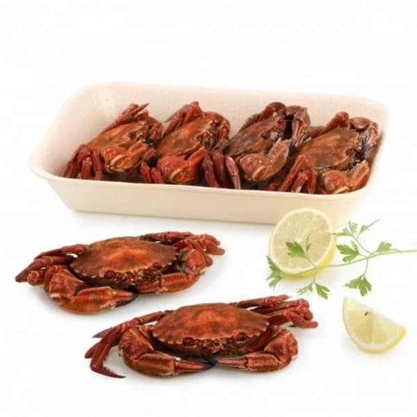 Nécora Cocida 1 kg aprox - 1 kg - Imagen del producto en Findit