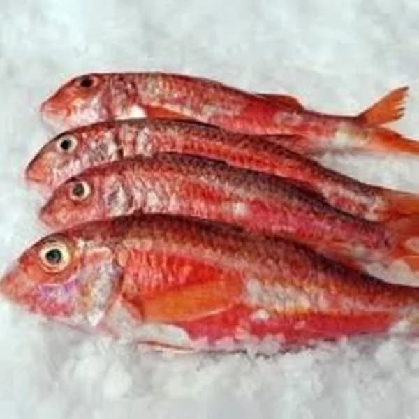 Salmonete - 1 kg - Imagen del producto en Findit