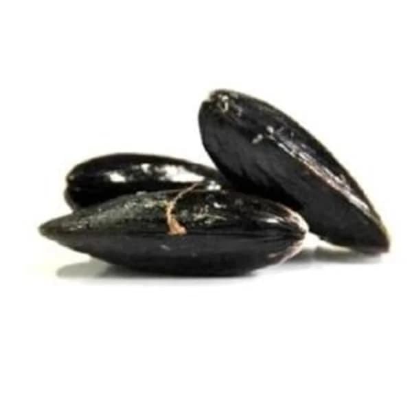 Mejillón bouchot 1 kg aprox. (Entrega fin semana) - 1 kg - Imagen del producto en Findit