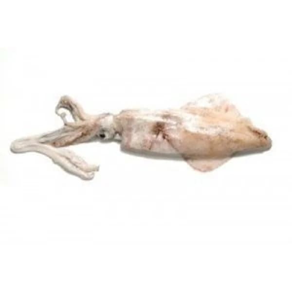 Calamar fresco pequeño - 1 kg - Imagen del producto en Findit