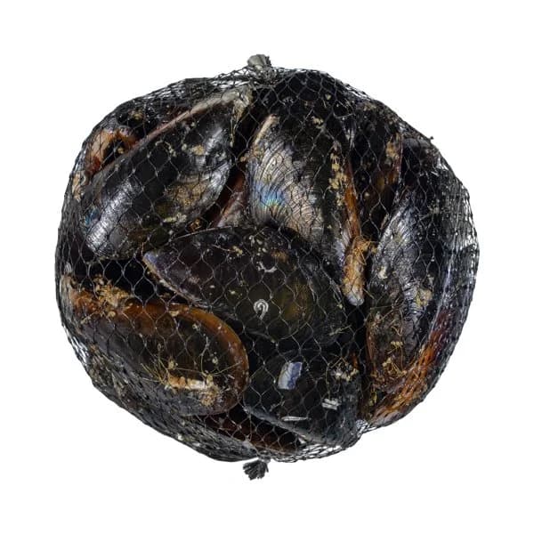 Mejillón selección - 1 kg - Imagen del producto en Findit