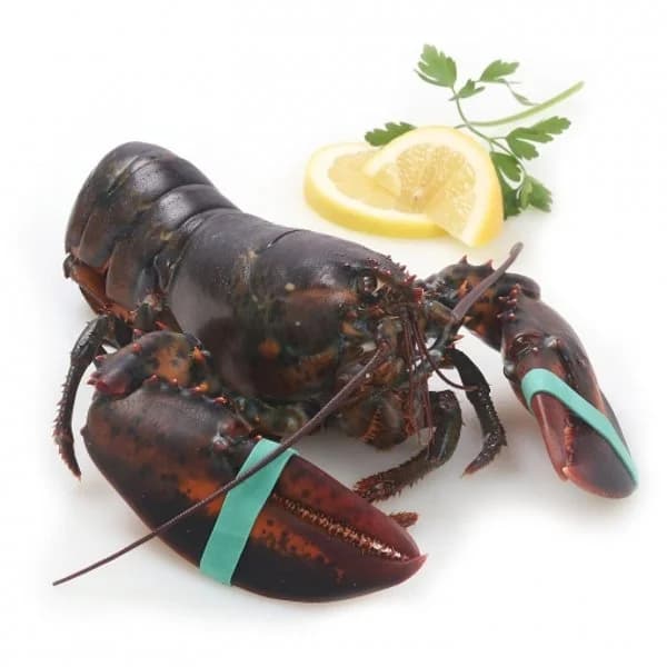 Bogavante pieza 500 g aprox - 1 ud - Imagen del producto en Findit