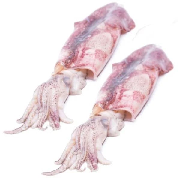 Calamar fresco 30-250, al peso, compra mínima 500 g - 0.5 kg - Imagen del producto en Findit