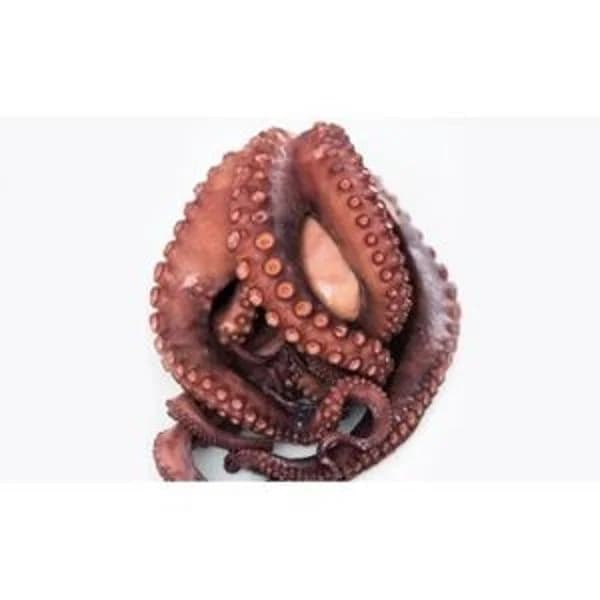 Pulpo (1 kg aprox/pieza) - 1 kg - Imagen del producto en Findit