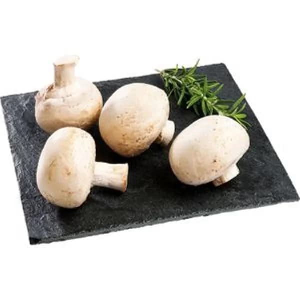 Champiñón Granel - 1 kg - Imagen del producto en Findit