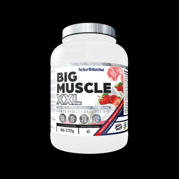 Perfect Nutrition - Big Muscle XXL 6 lb (2,7 kg) - 2.7 kg - Imagen del producto en Findit