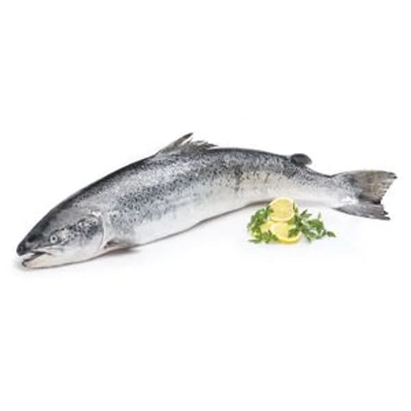 Salmón Noruego Entero o Mitades - 2.86 kg - Imagen del producto en Findit
