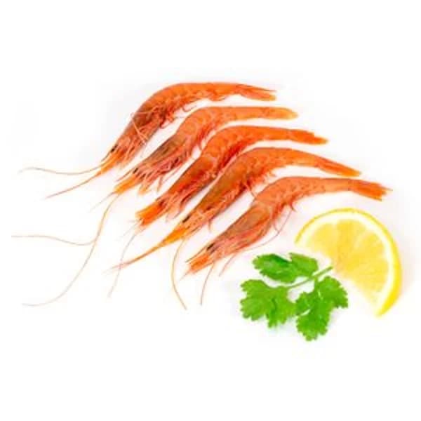 Gamba Arrocera Consumir en 24 Horas - 1 ud - Imagen del producto en Findit