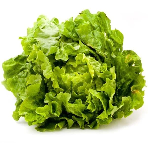 Lechuga Batavia local, unidad - 1 ud - Imagen del producto en Findit