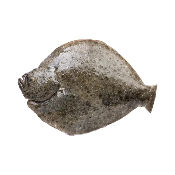 Rodaballo con piel  sin aletas y sin agallas - 1 ud - Imagen del producto en Findit