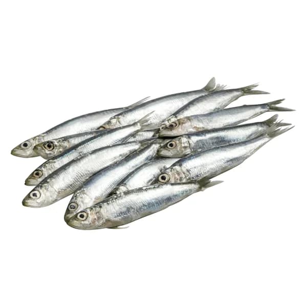 Sardina sin limpiar - 0.2 kg - Imagen del producto en Findit