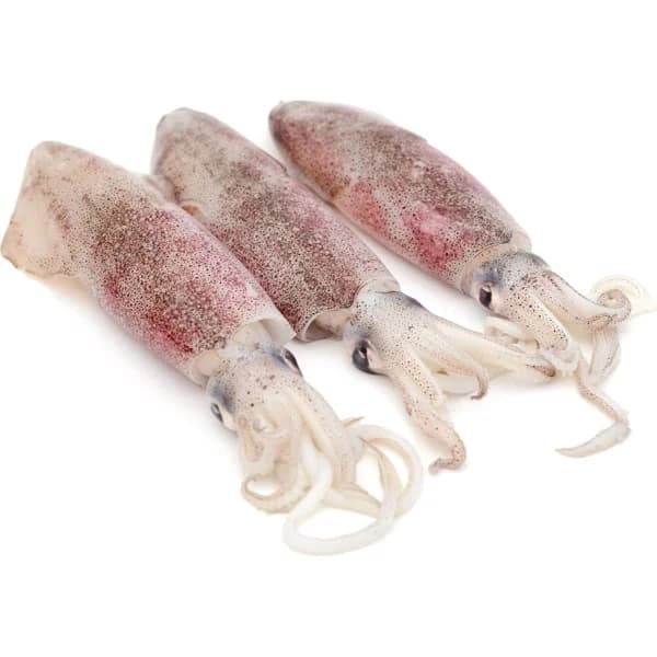 Calamar Mediano - 0.15 kg - Imagen del producto en Findit
