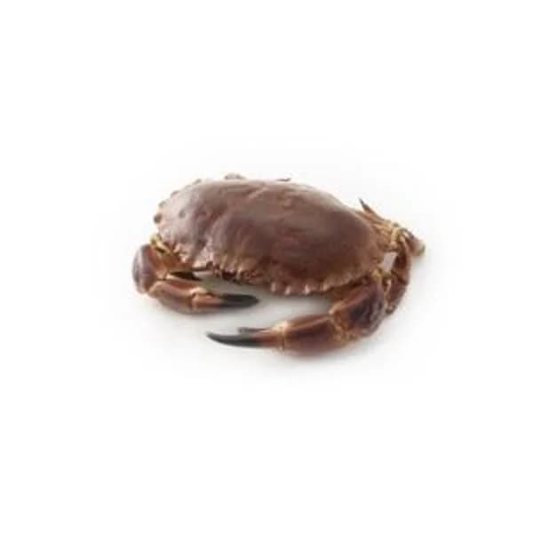 Buey de mar 500g (entrega fin de semana) - 0.5 kg - Imagen del producto en Findit