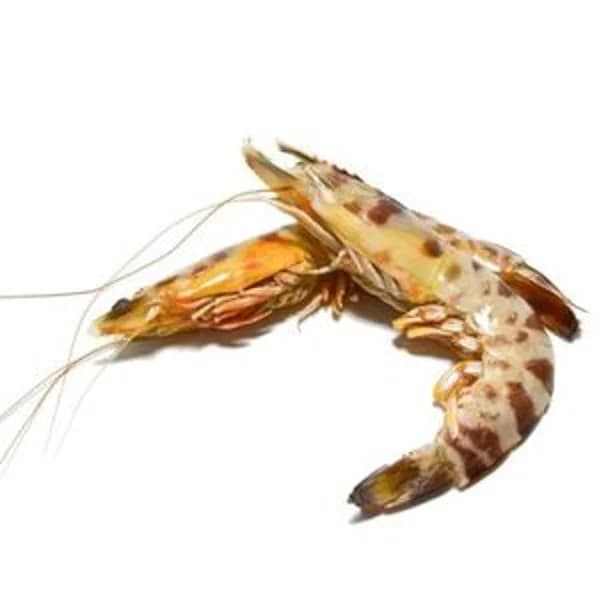 Langostino tigre 20/30 kilo (entrega fin semana) - 1 kg - Imagen del producto en Findit