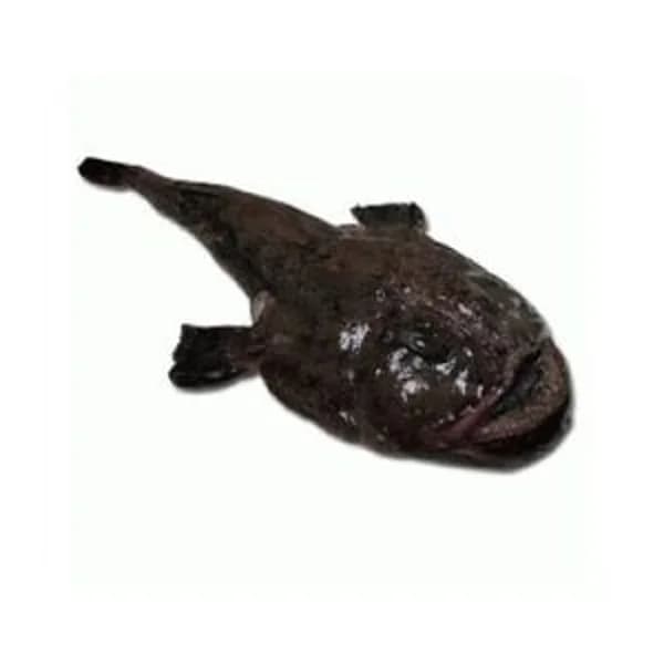 Rape - 1 kg - Imagen del producto en Findit