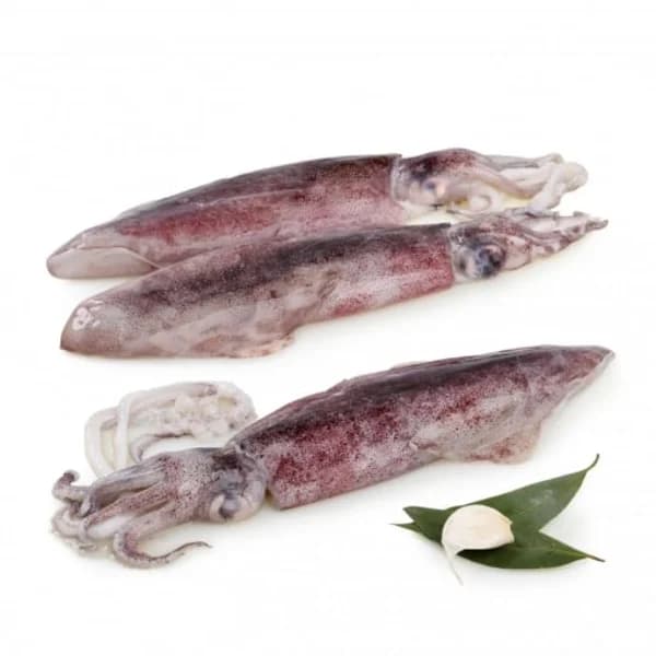 Calamar 1 kg aprox - 1 ud - Imagen del producto en Findit