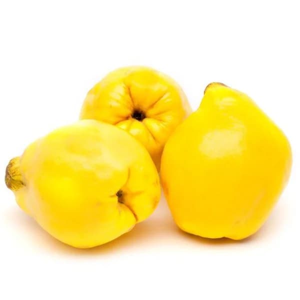 Membrillo, pieza al peso aprox. 250 g - 1 ud - Imagen del producto en Findit