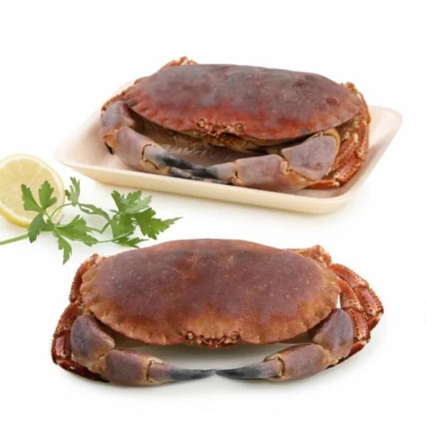 Buey cocido pieza 600 g aprox - 1 ud - Imagen del producto en Findit